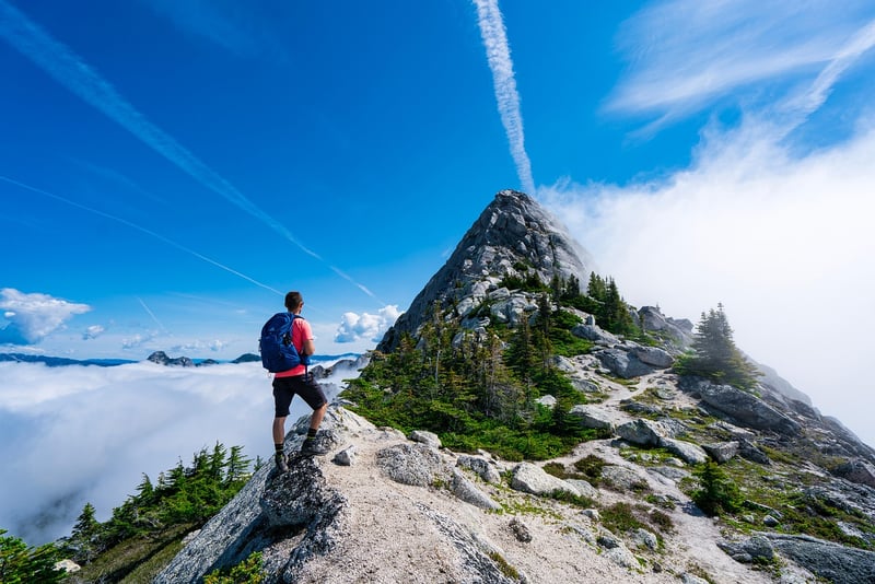Hiking in nature