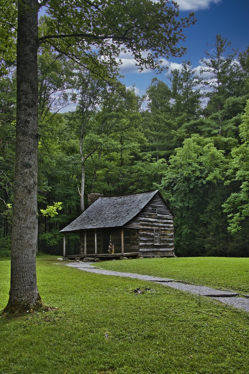 Blackberry Mountain Lodge